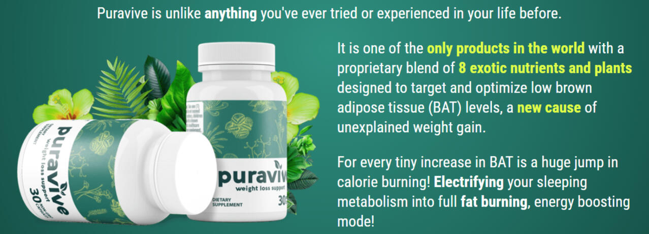 His Secret Obsession image